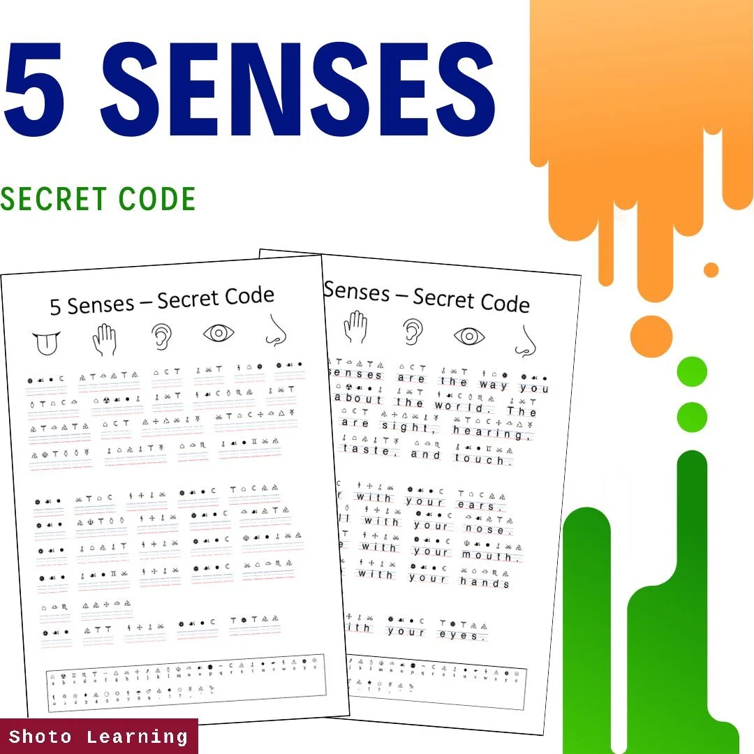 True or False Worksheets: Learn the 5 Senses